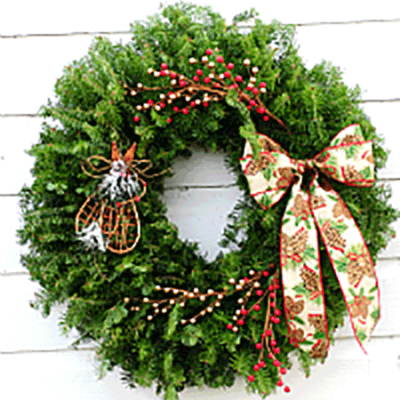 The Berry Sweet Collection - Snowshoe Pine Cone