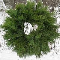 Elite Pine Wreath 