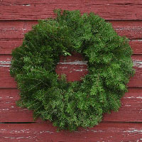 Undecorated Balsam Wreath - 18 inch