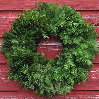 Undecorated Wreath - 36 inch (Includes Oversized Shipping)
